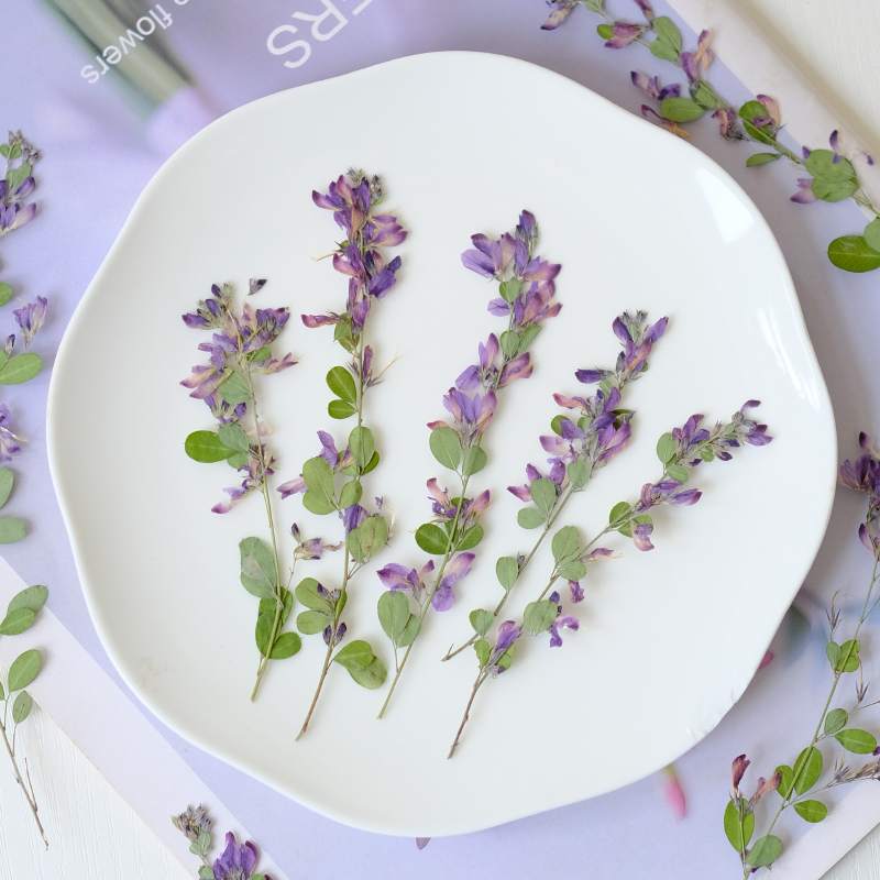6 Buah, Bunga Kering Lespedeza - Resin Art Bookmark ulasan dan harga