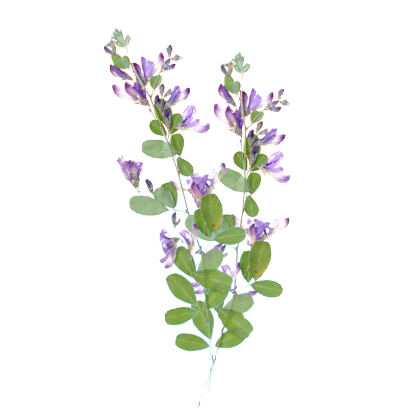 6 Buah, Bunga Kering Lespedeza - Resin Art Bookmark ulasan dan harga